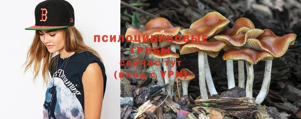 2c-b Вязьма