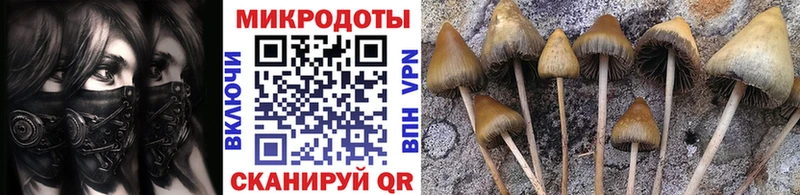 Галлюциногенные грибы ЛСД Ростов-на-Дону